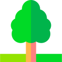 Árbol icon