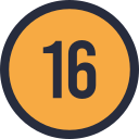 16 icon