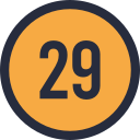 29 icon