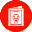 pasaporte icon