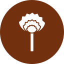 flores de cebollino icon