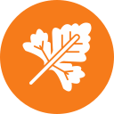 cilantro icon