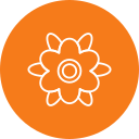 flores de fresa icon