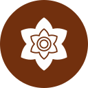 narciso icon