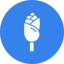 rosa icon