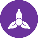 iris icon