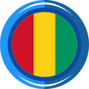 guinea icon