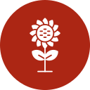 girasol icon