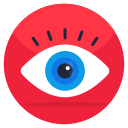 ojo icon