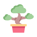 bonsai