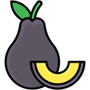 aguacate icon