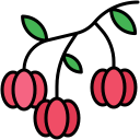 cereza de surinam icon