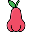 manzana rosa icon