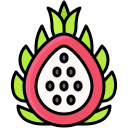 dragon de fruta icon