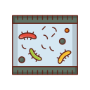 microorganismos icon