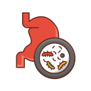 anatomy icon