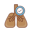 pulmonar icon