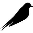 golondrina icon