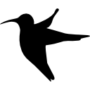 colibrí icon