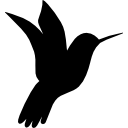 colibrí icon