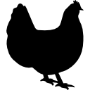 pollo orpington icona