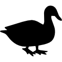 pato icon