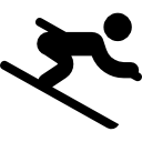 slalom icon