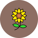 girasol icon