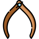 calibrador icon