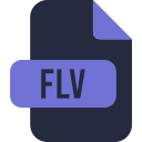 flv icon