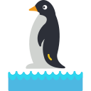 pingüino icon