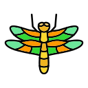 libélula icon