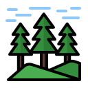forêt 