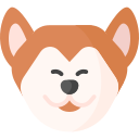 Akita 