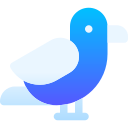 gaviota icon