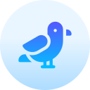 gaviota icon