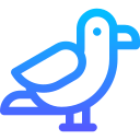 gaviota icon