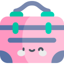 bolso icon