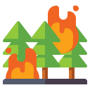 incendio forestal icon