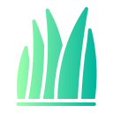 aloe vera icon