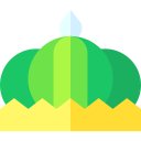 coroa