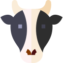 vaca 