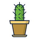 cactus icon