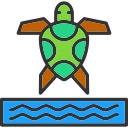 tortuga marina icon