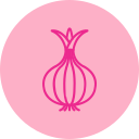 Onion 