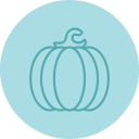 calabaza icon