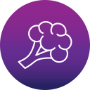 brócoli icon
