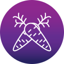 zanahoria icon