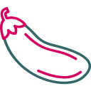 beringela 