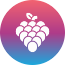 uvas icon